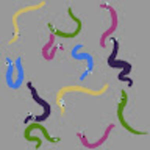 Meet your Posher, Zoe